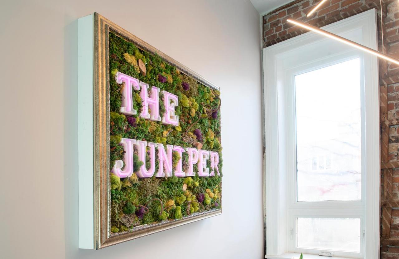 Sainte-Catherine The Juniper Inn מראה חיצוני תמונה